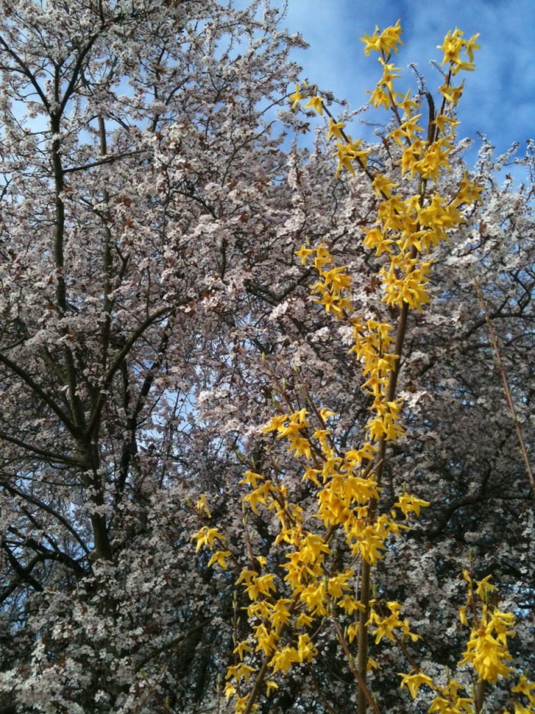 photo-768x1024